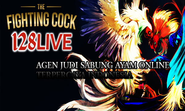 Agen Judi Sabung Ayam Online Terpercaya Indonesia