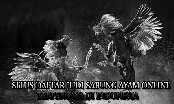 Situs Daftar Judi Sabung Ayam Online